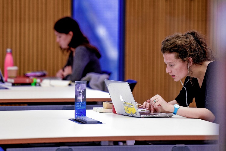 Blue Carbon WWF Scholarship: Complete 2026 Guide & How to Apply