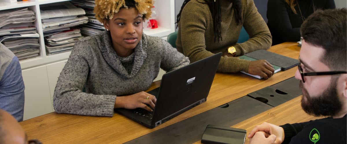 Bridge Seed Global Org