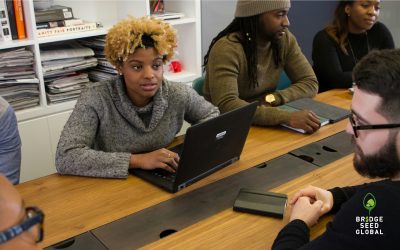 Bridge Seed Global Org